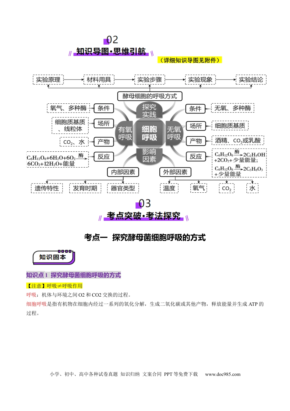 第09讲 细胞呼吸（讲义）（原卷版）.docx