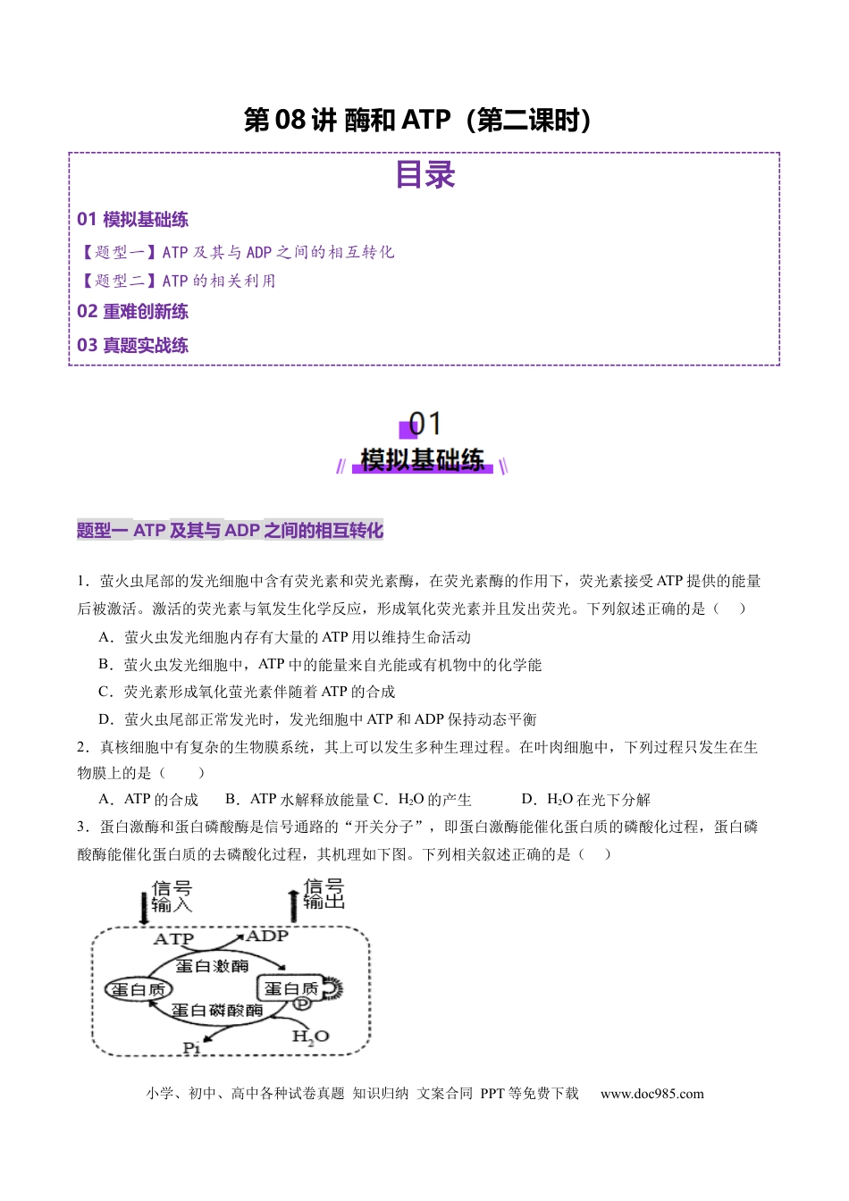 第08讲 酶和ATP（第二课时）（练习）（原卷版）.docx