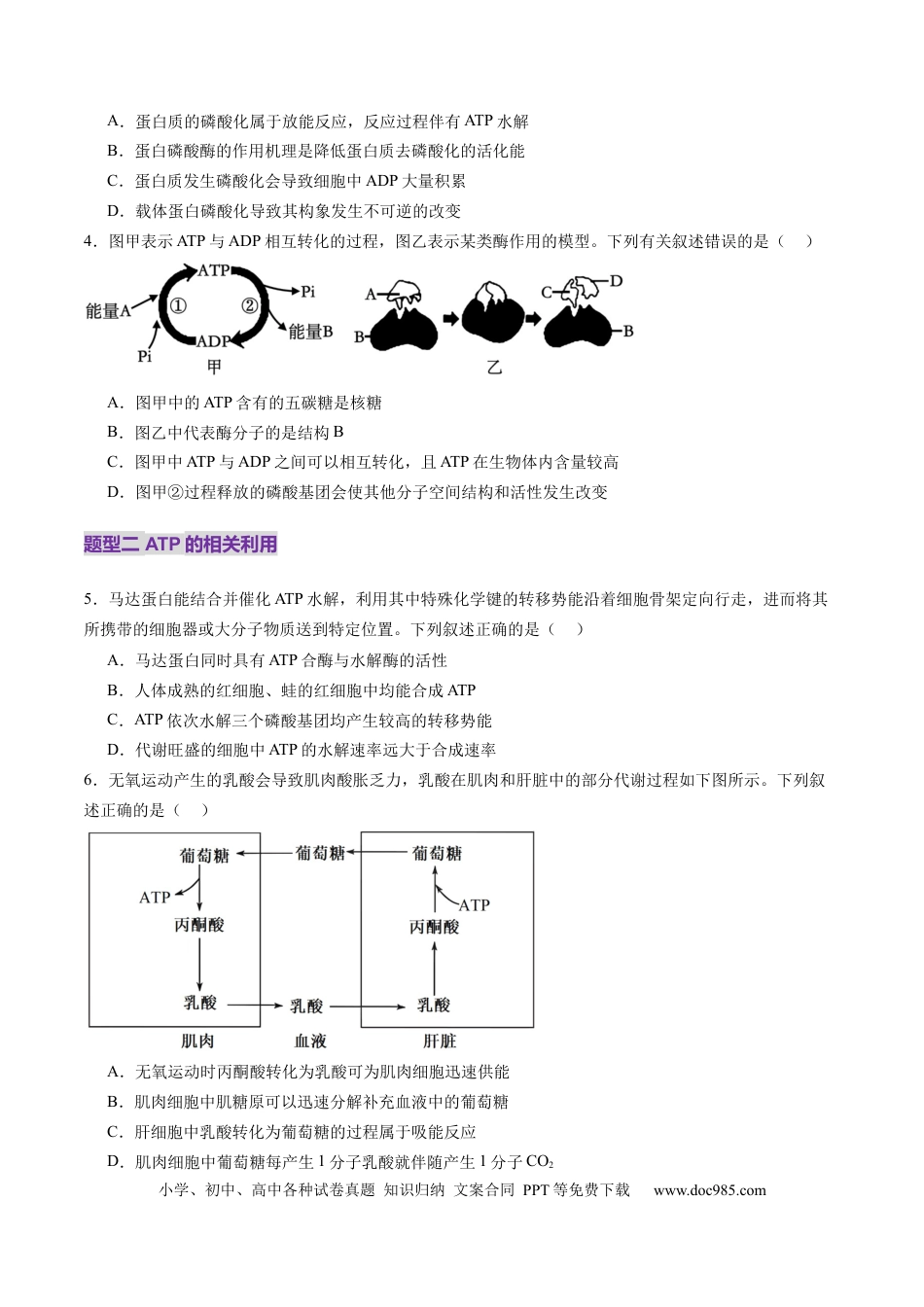 第08讲 酶和ATP（第二课时）（练习）（原卷版）.docx