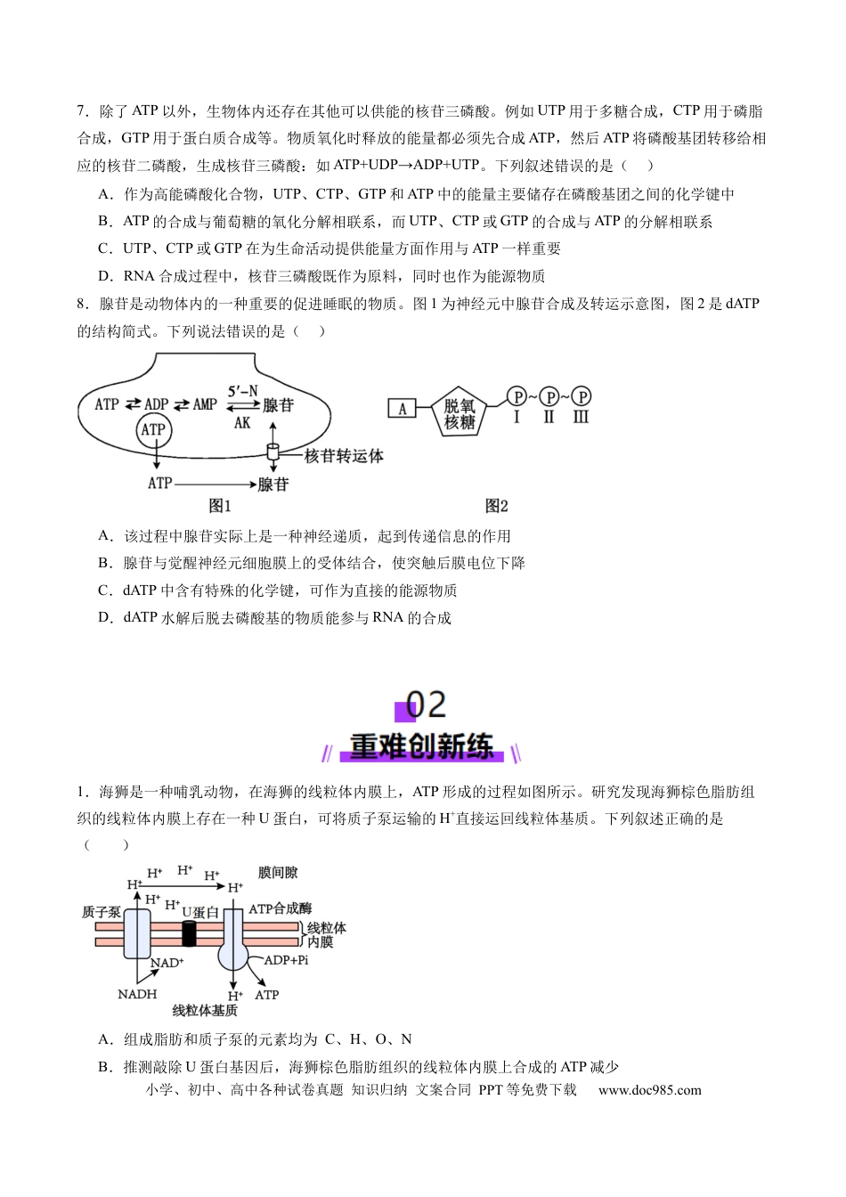 第08讲 酶和ATP（第二课时）（练习）（原卷版）.docx