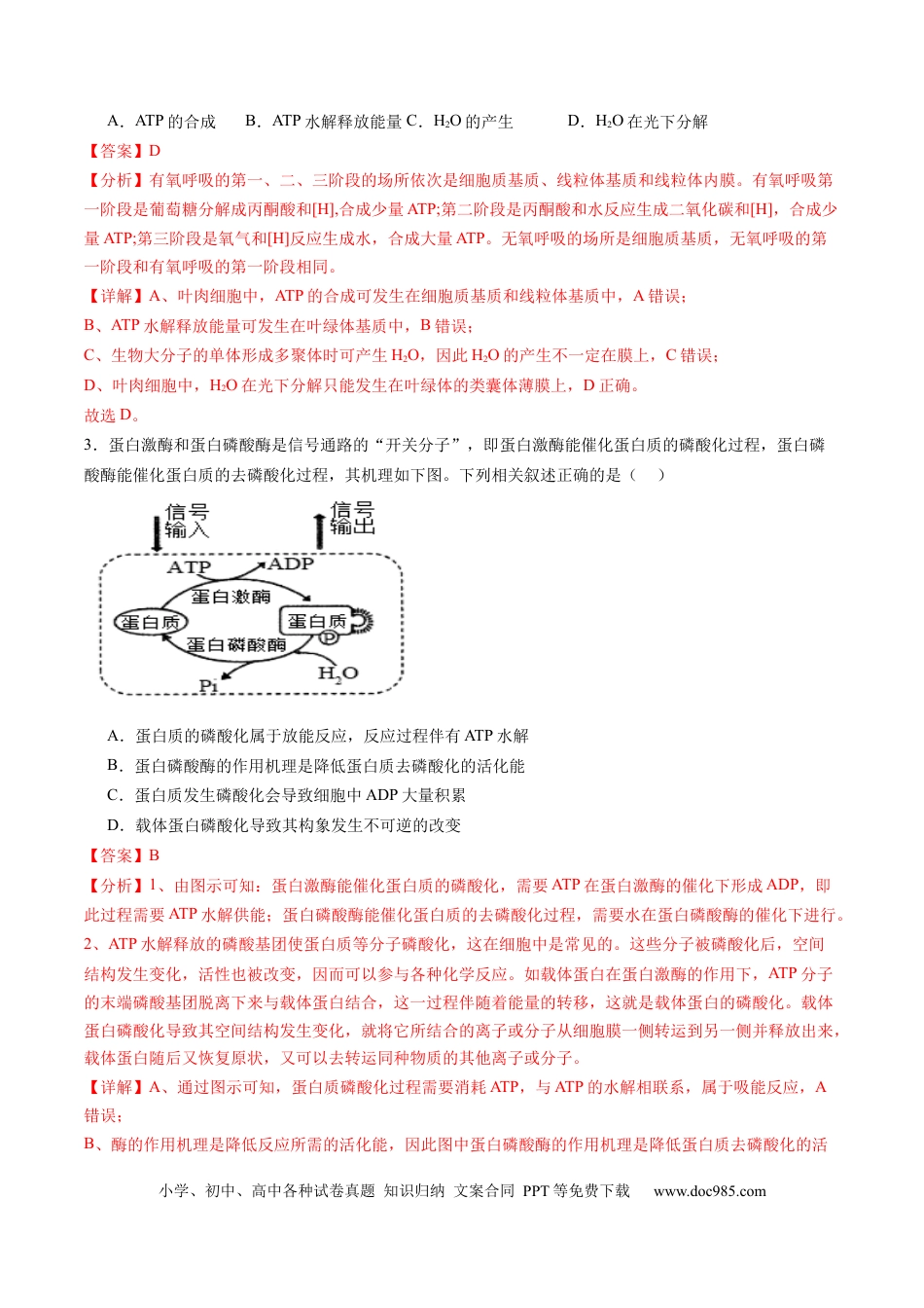 第08讲 酶和ATP（第二课时）（练习）（解析版）.docx