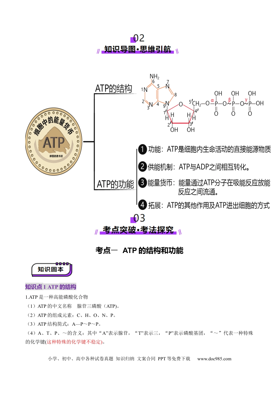 第08讲 酶和ATP（第二课时）（讲义）（解析版）.docx