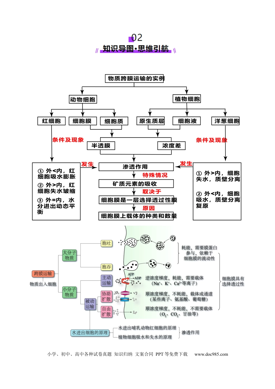 第07讲 物质运输（讲义）（原卷版）.docx