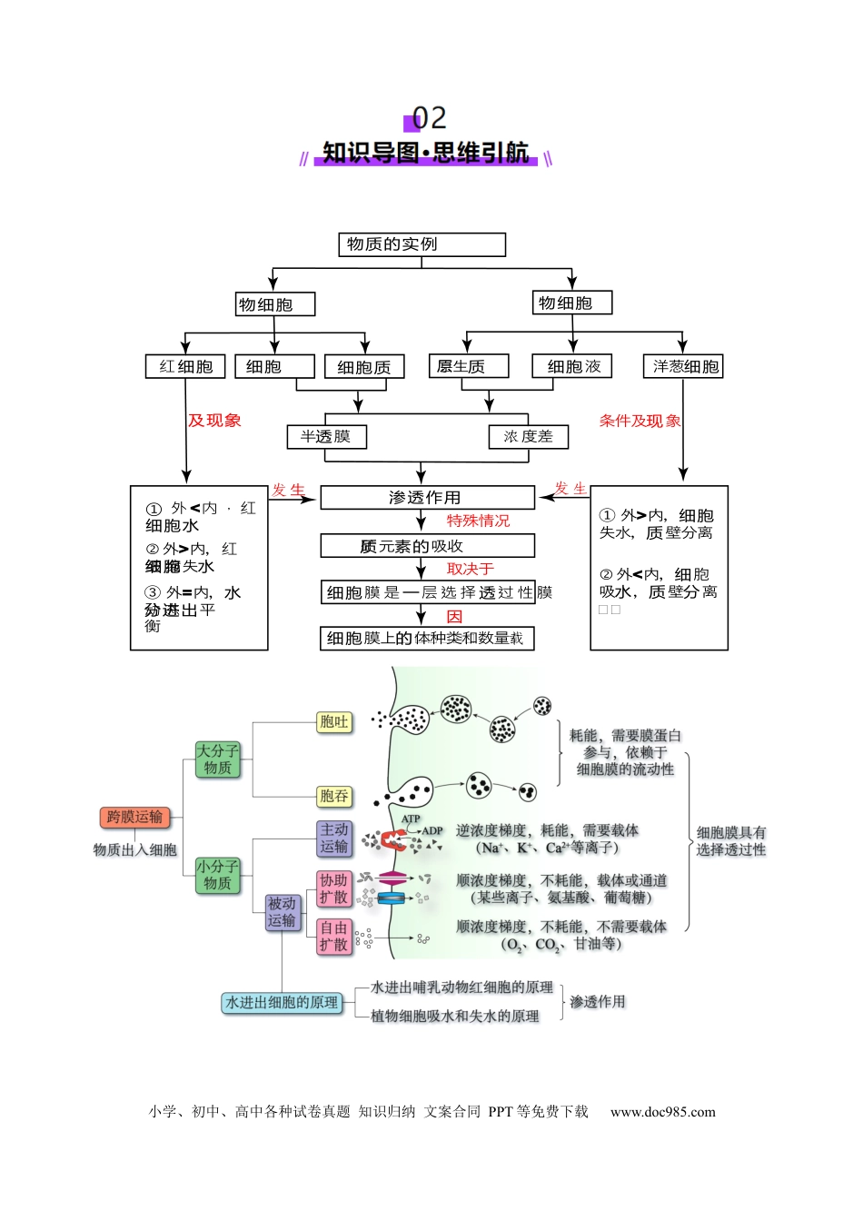 第07讲 物质运输（讲义）（解析版）.docx