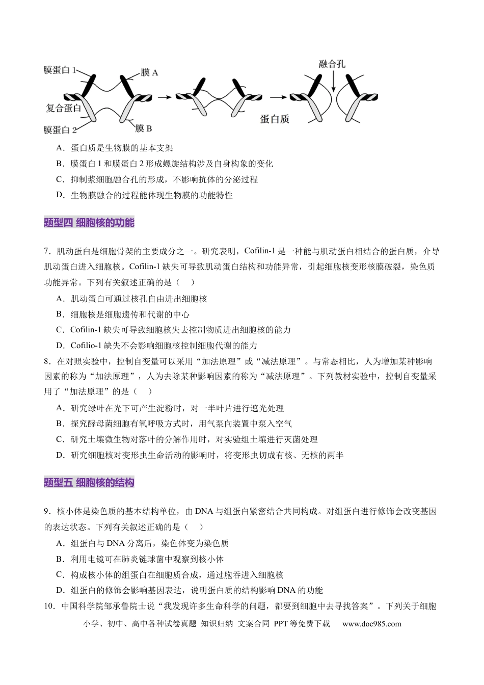 第05讲 细胞膜和细胞核（练习）（原卷版）.docx