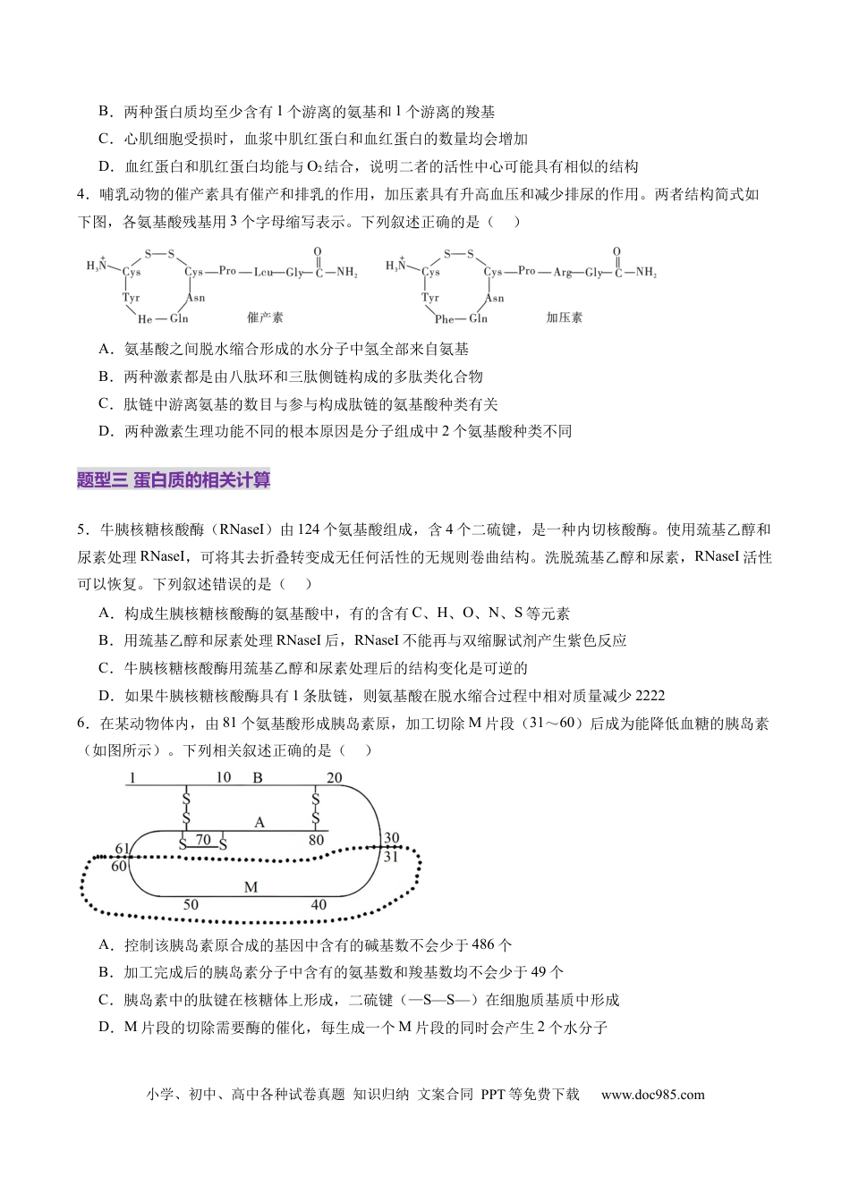 第04讲 蛋白质和核酸（练习）（原卷版）.docx