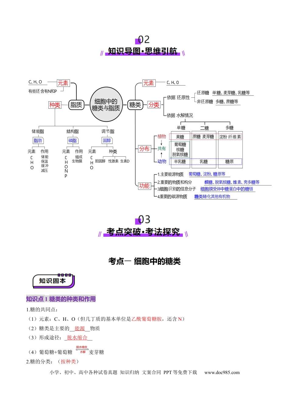 第03讲 糖类和脂质（讲义）（原卷版）.docx