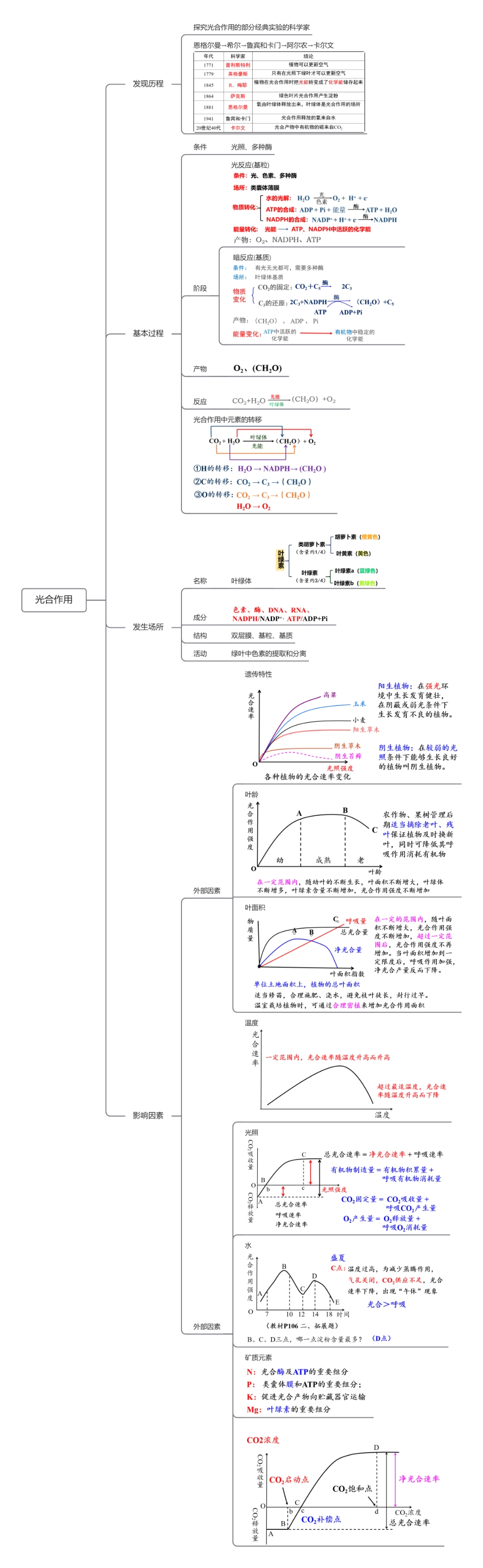 第10讲 光合作用（知识导图详细版）.pdf