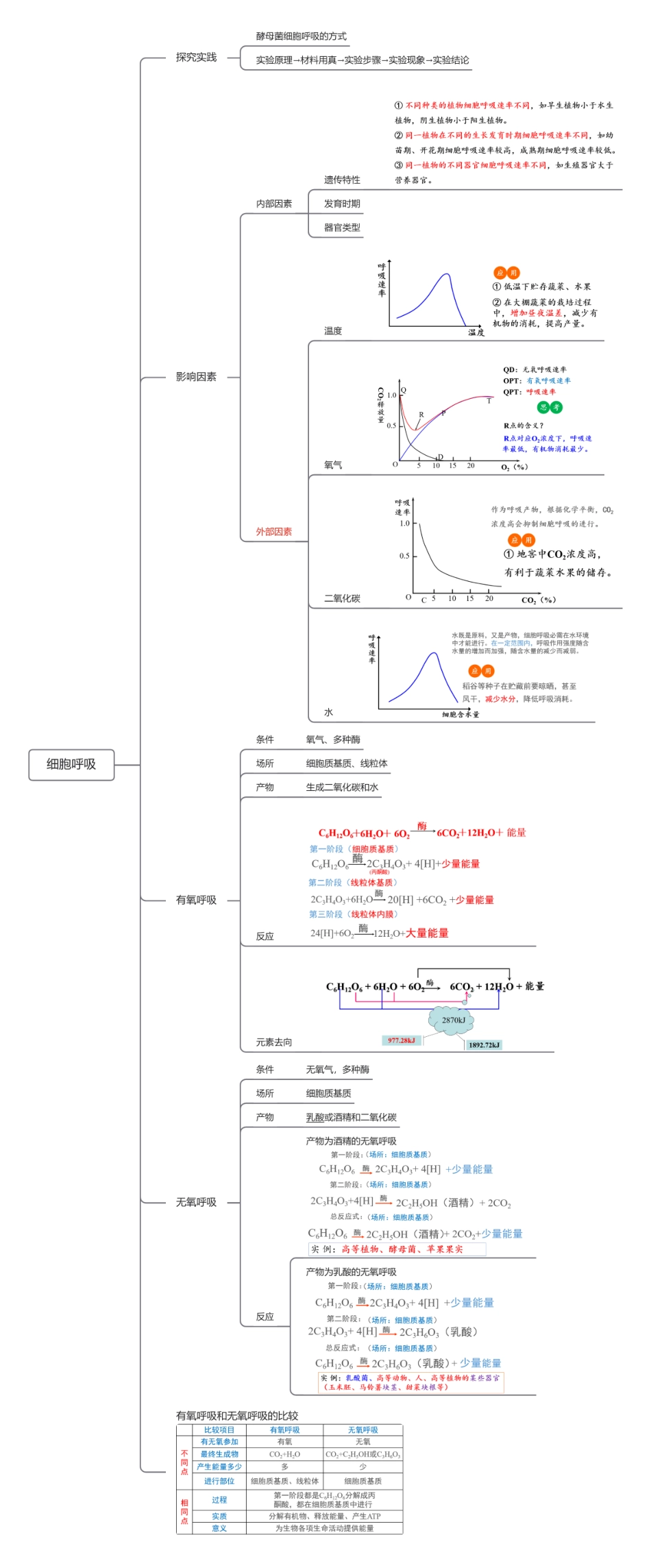 第09讲 细胞呼吸（知识导图详细版）.pdf
