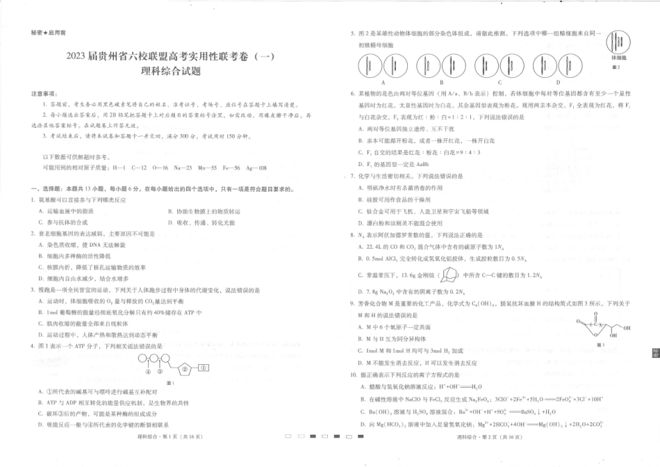 高考化学贵州省六校联盟2022-2023学年高三上学期高考实用性联考（一）理科综合试题.pdf