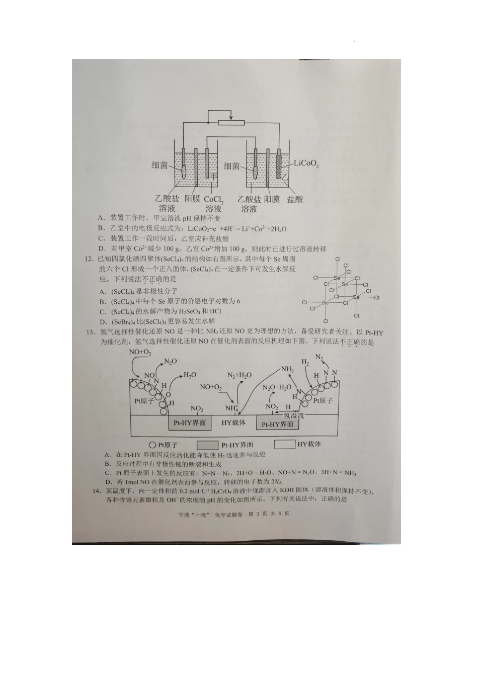高考化学2023届浙江省宁波市十校高三下学期3月（二模）丨化学 .pdf