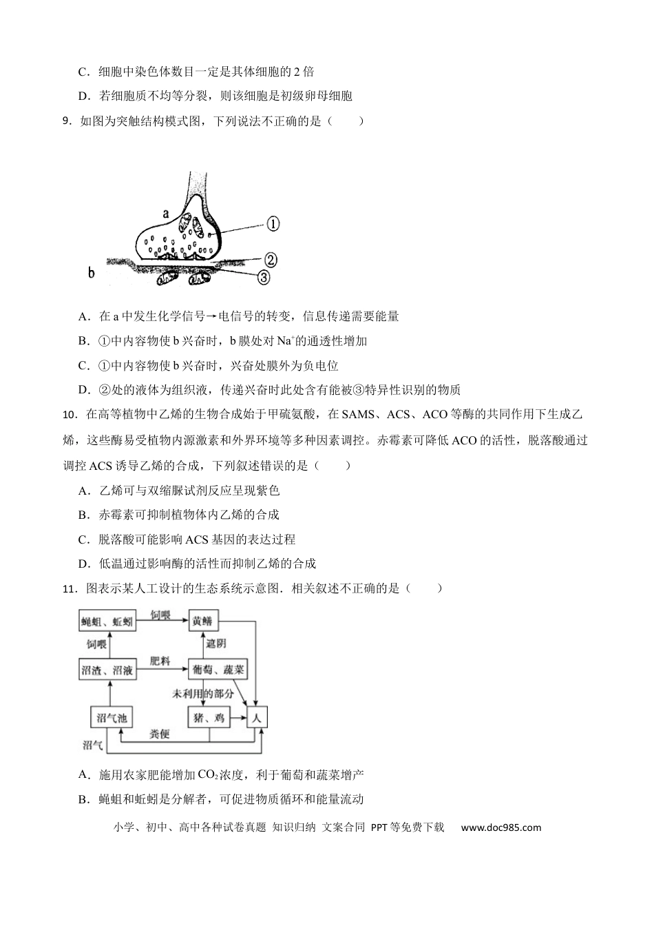 高考物理2023年新高考生物模拟试卷（山东卷）（Word版含答案）.docx