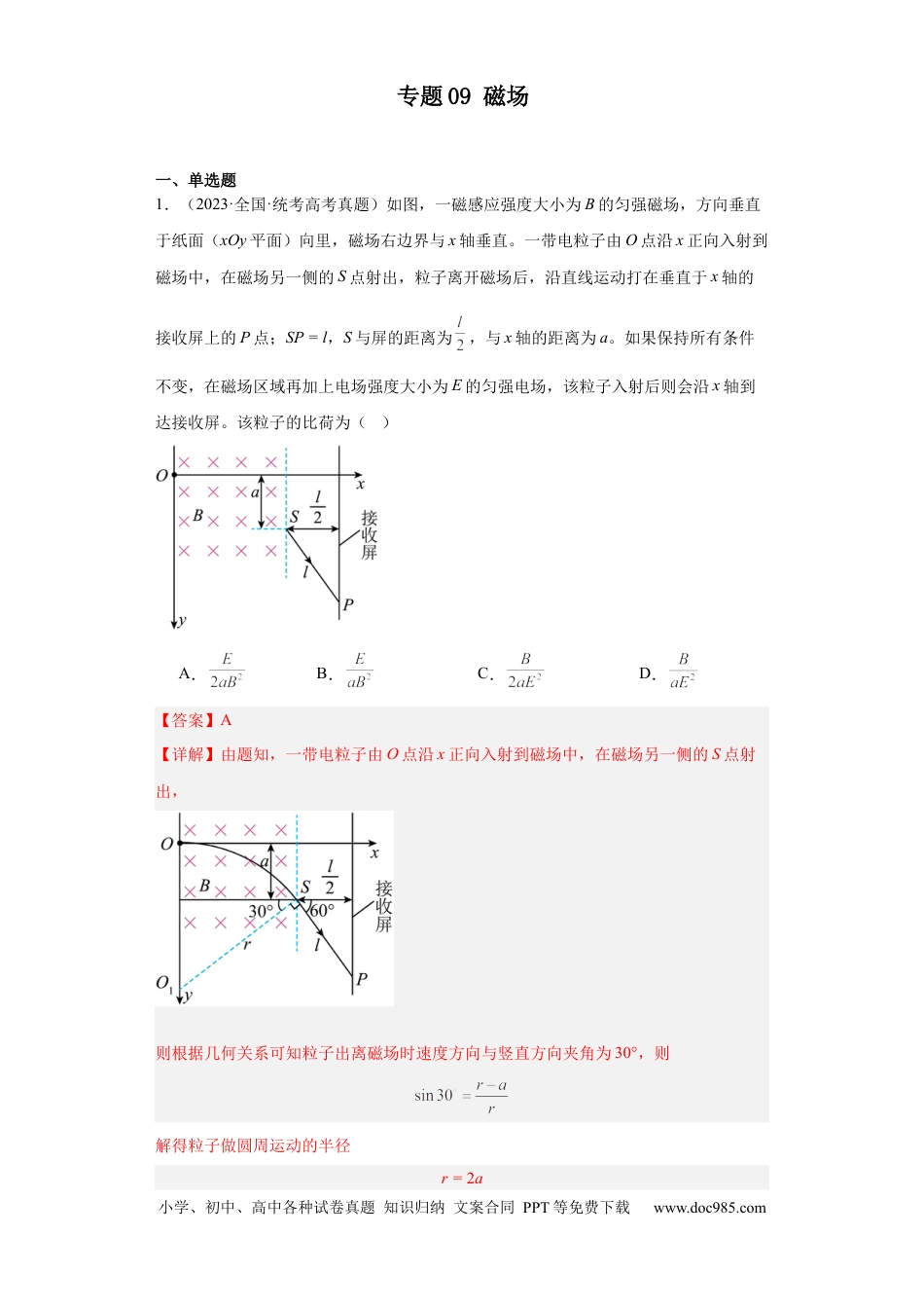高考物理专题09 磁场 (解析版).docx