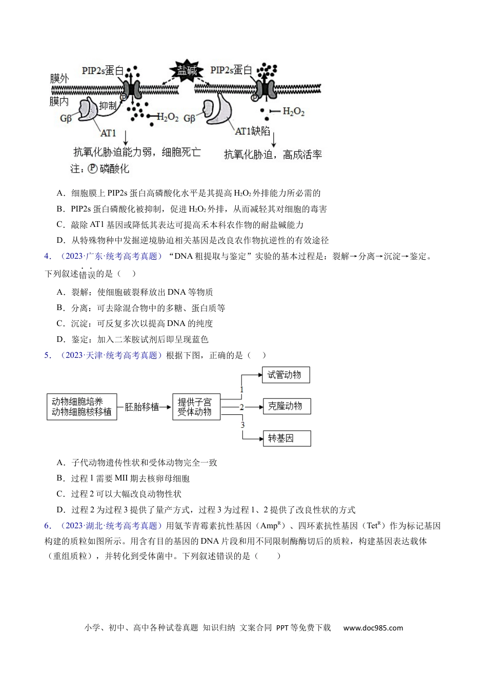 高考生物专题21 基因工程-学易金卷：五年（2019-2023）高考生物真题分项汇编（全国通用）（原卷版）.docx