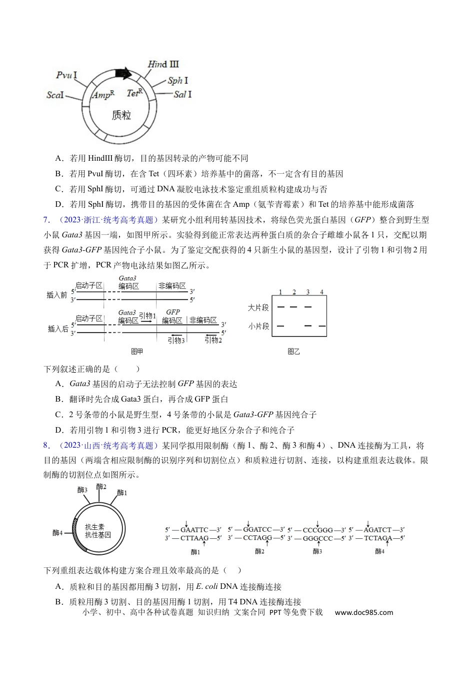 高考生物专题21 基因工程-学易金卷：五年（2019-2023）高考生物真题分项汇编（全国通用）（原卷版）.docx