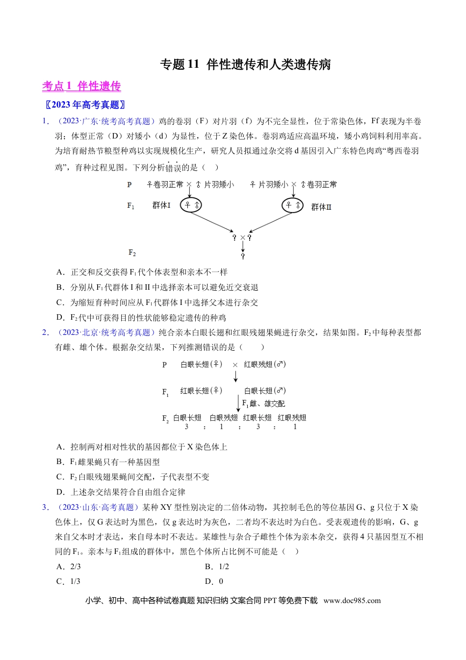高考生物专题11  伴性遗传和人类遗传病- 学易金卷：五年（2019-2023）高考生物真题分项汇编（全国通用）（原卷版）.docx