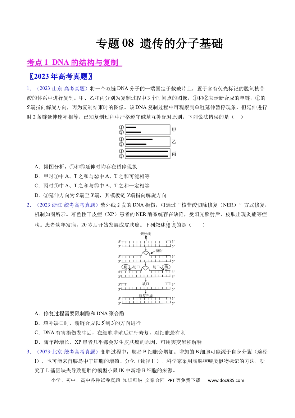 高考生物专题08 遗传的分子基础-学易金卷：五年（2019-2023）高考生物真题分项汇编（全国通用）（原卷版）.docx