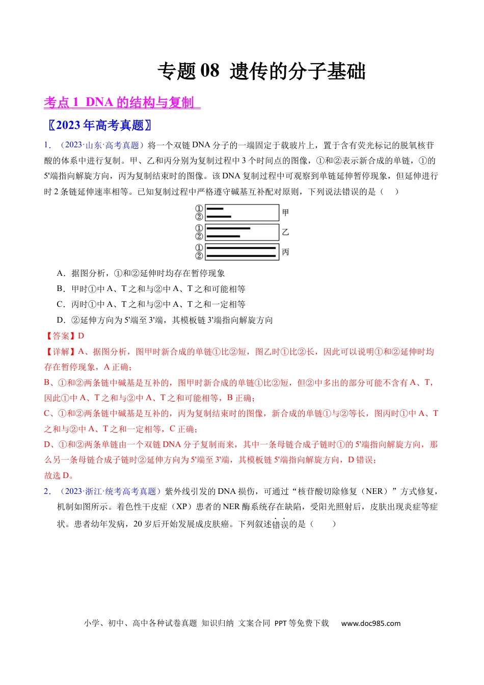 高考生物专题08 遗传的分子基础-学易金卷：五年（2019-2023）高考生物真题分项汇编（全国通用）（解析版）.docx