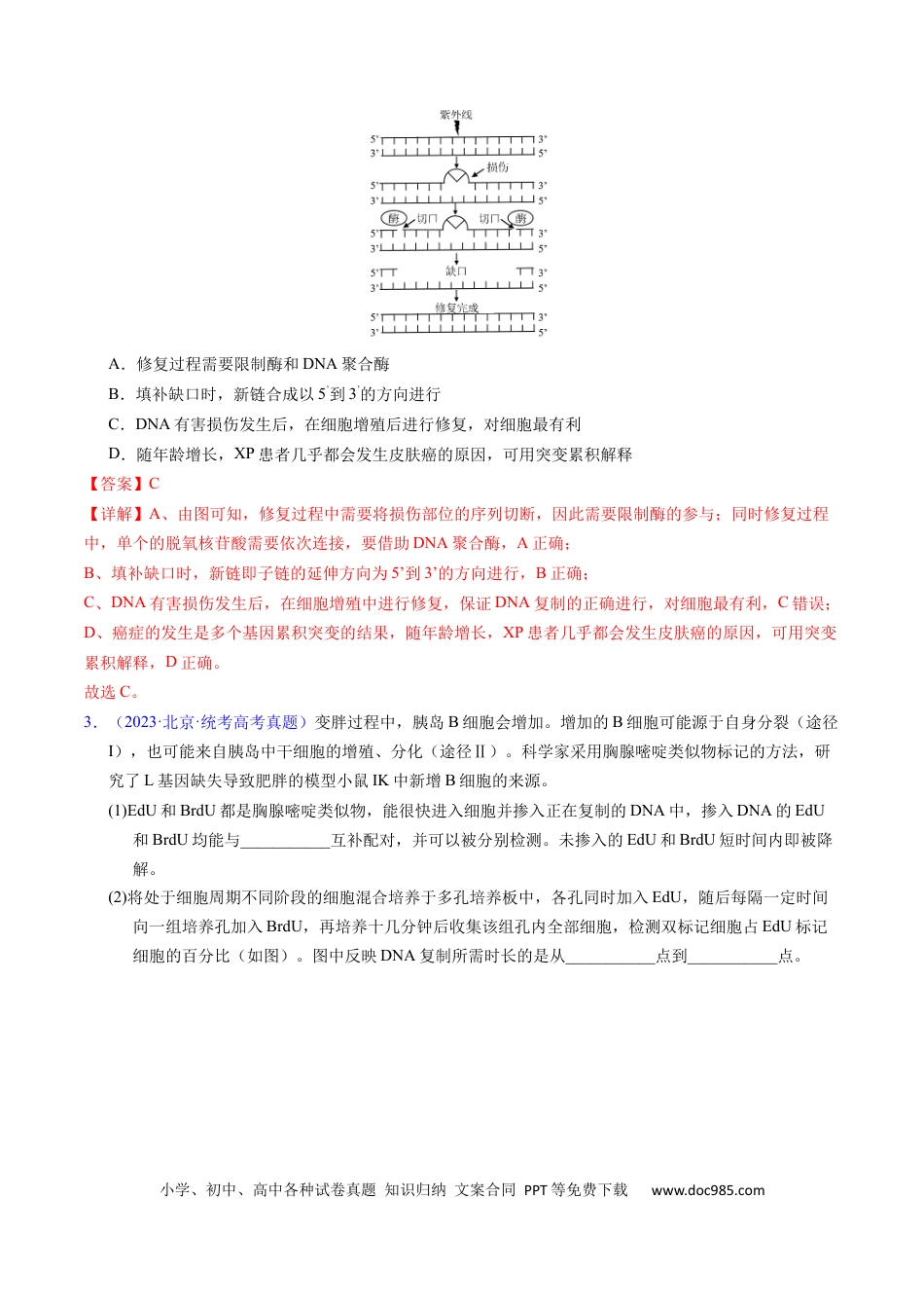 高考生物专题08 遗传的分子基础-学易金卷：五年（2019-2023）高考生物真题分项汇编（全国通用）（解析版）.docx