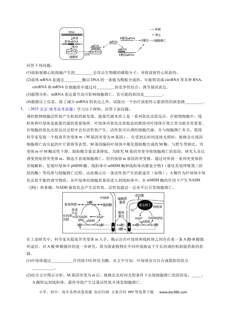 高考生物专题07 细胞得分化、衰老、凋亡及癌变-学易金卷：五年（2019-2023）高考生物真题分项汇编（全国通用）（原卷版）.docx