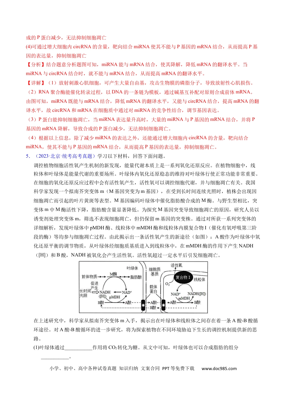 高考生物专题07 细胞得分化、衰老、凋亡及癌变-学易金卷：五年（2019-2023）高考生物真题分项汇编（全国通用）（解析版）.docx