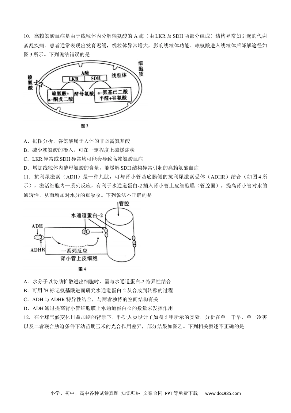 高考生物生物 重庆市巴蜀中学校2022-2023学年高三上学期高考适应性月考（二）生物试题(1).docx