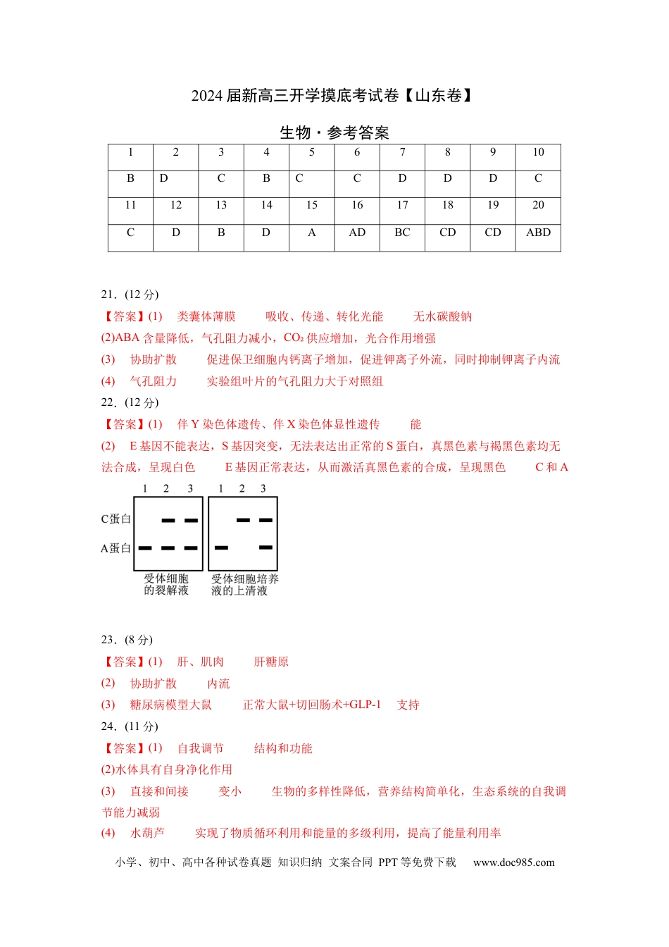 高三生物生物（山东卷）（参考答案）.docx