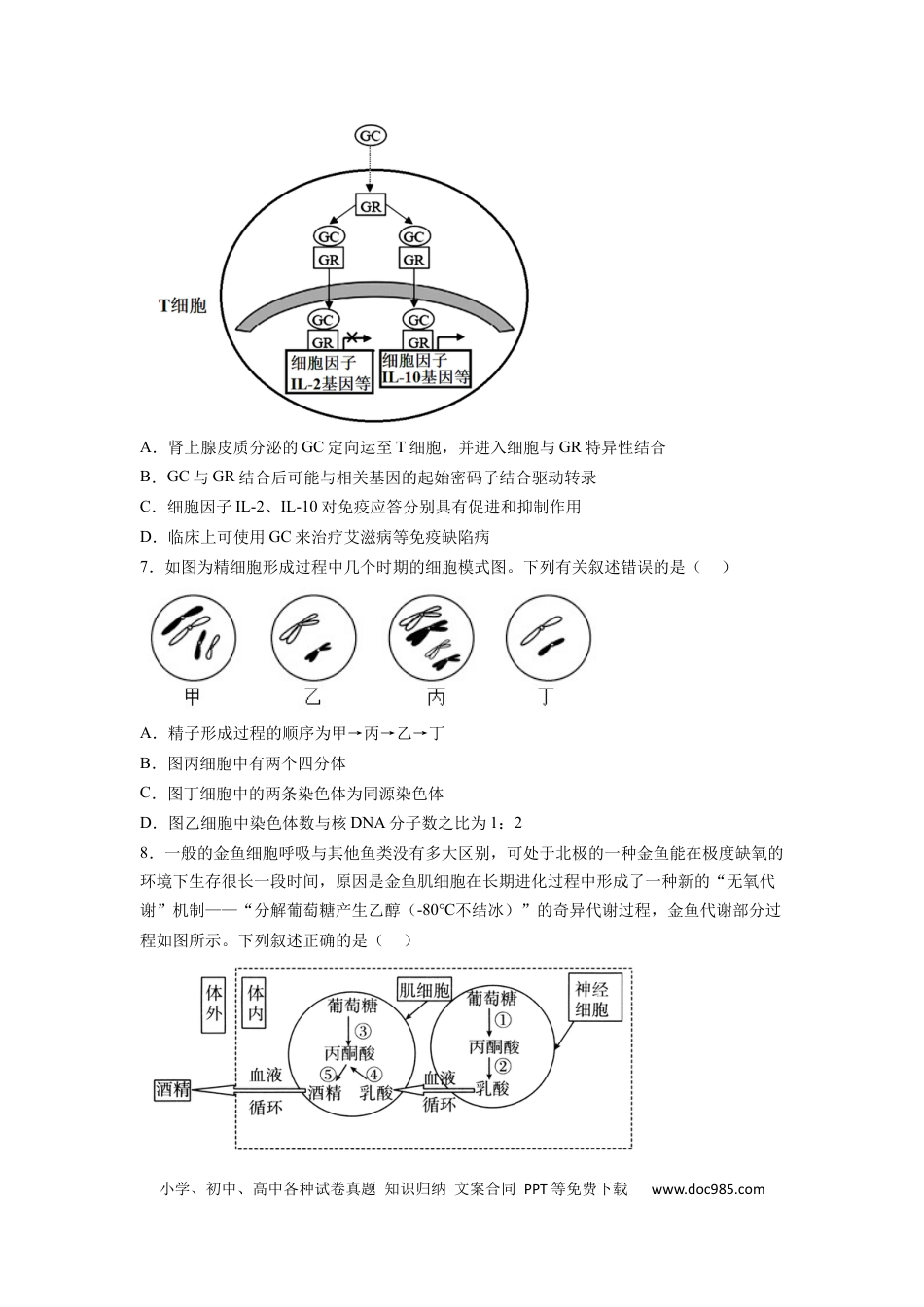 高三生物生物（天津卷）（考试版）.docx