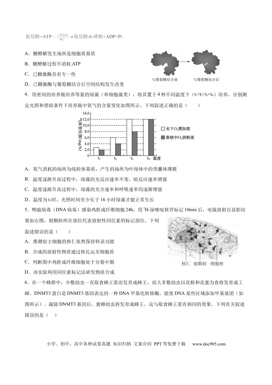 高三生物生物（北京卷）（考试版）.docx