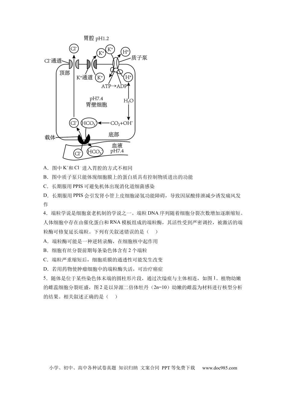 高三生物生物（江苏卷）（考试版）.docx