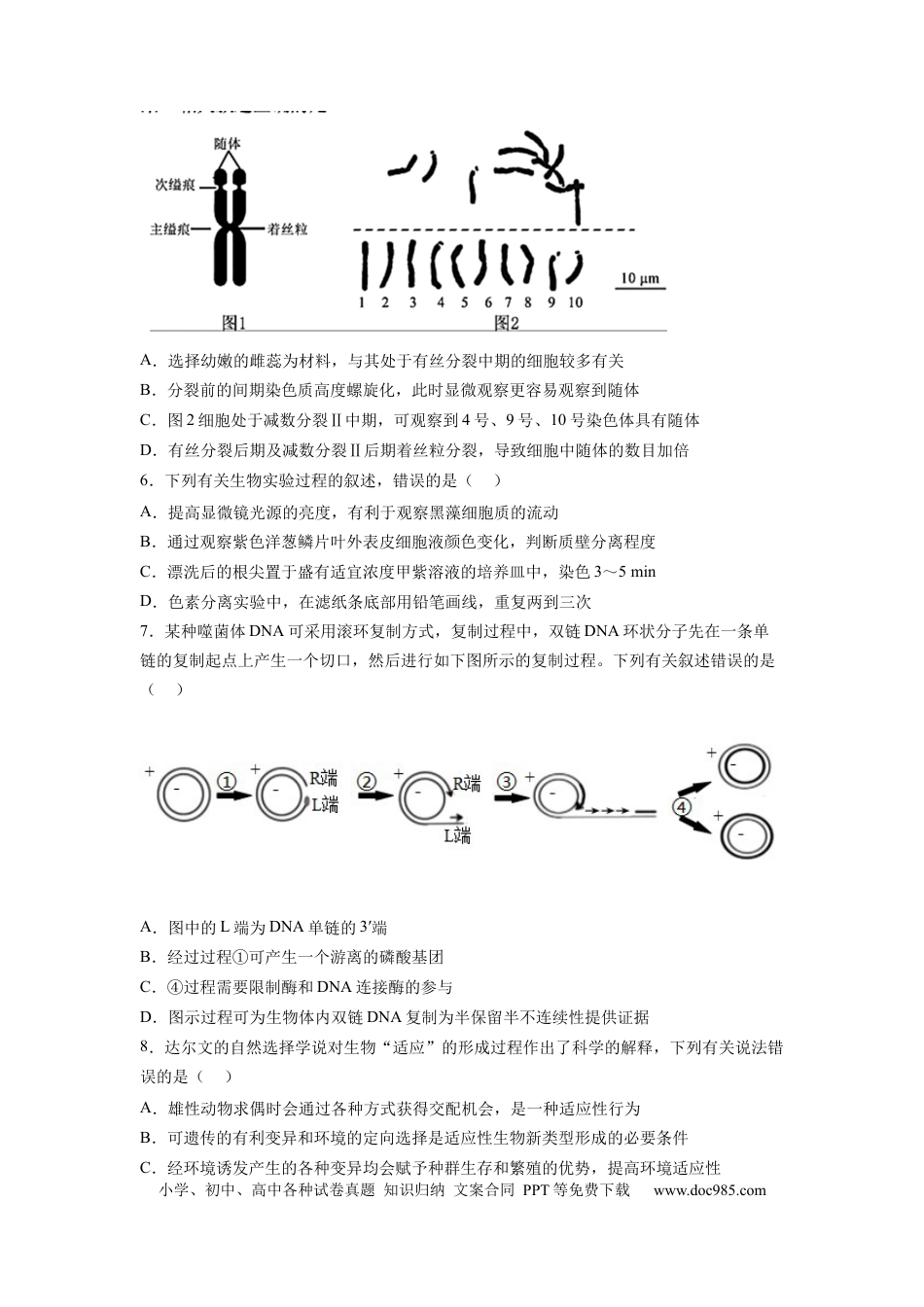 高三生物生物（江苏卷）（考试版）.docx