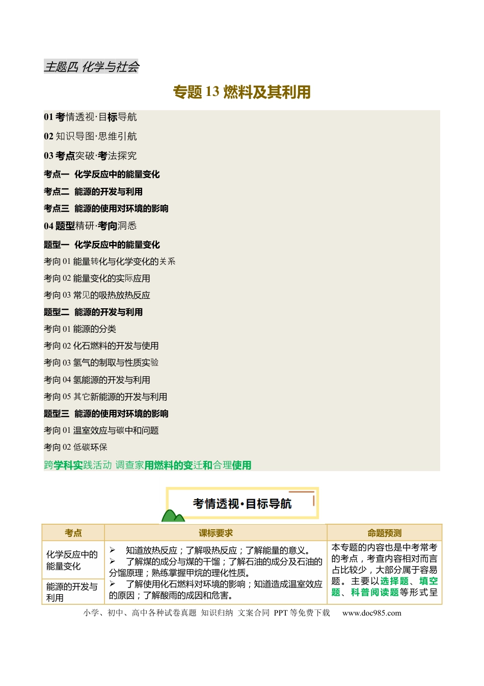 专题13 燃料及其利用（解析版）.docx