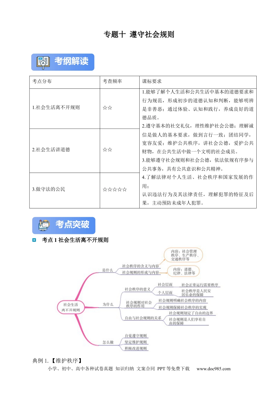 专题10 遵守社会规则（含解析）.docx