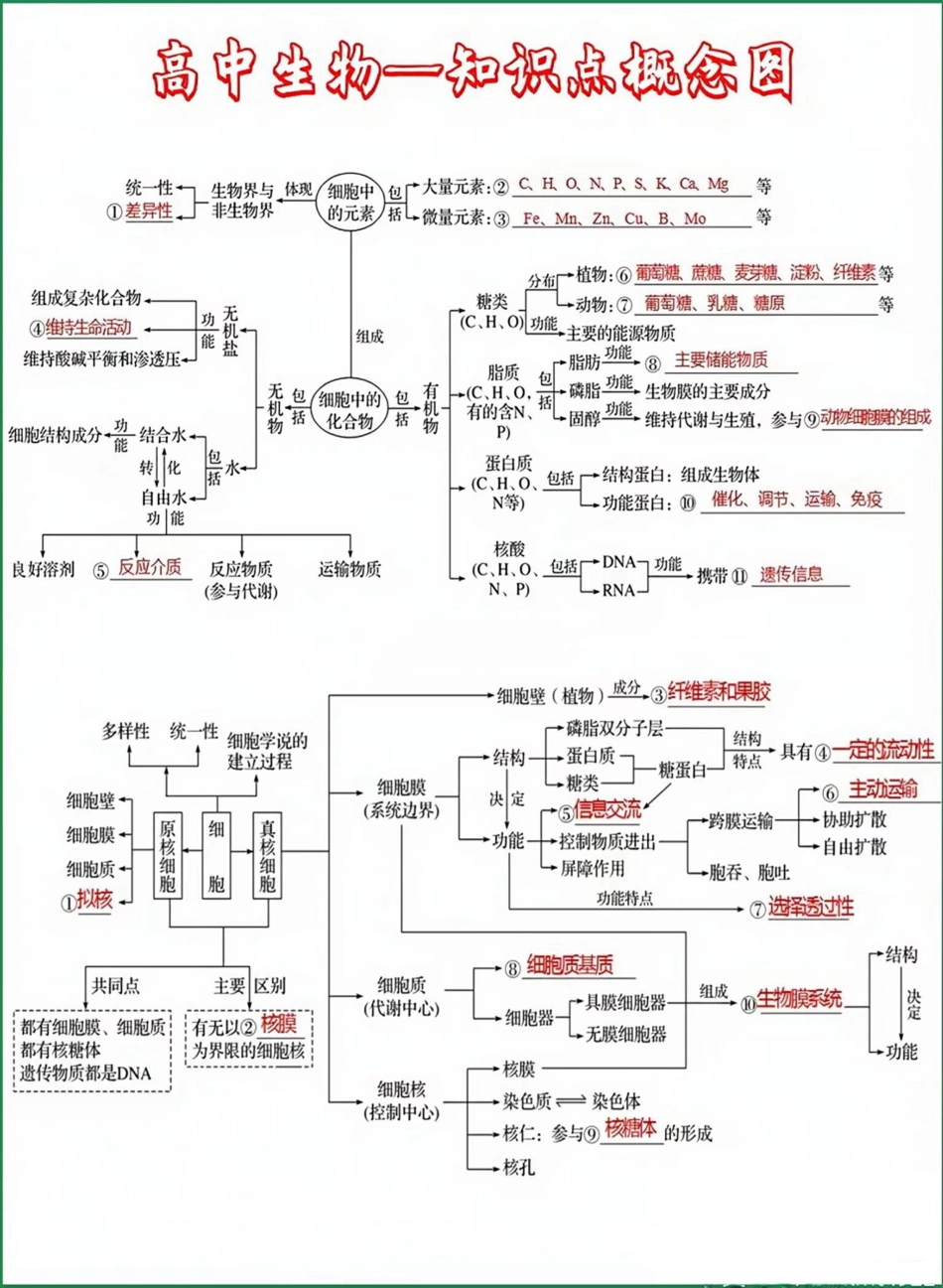 高中生物知识概念图.pdf