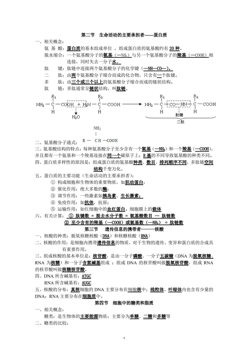 高中生物知识点大全.pdf