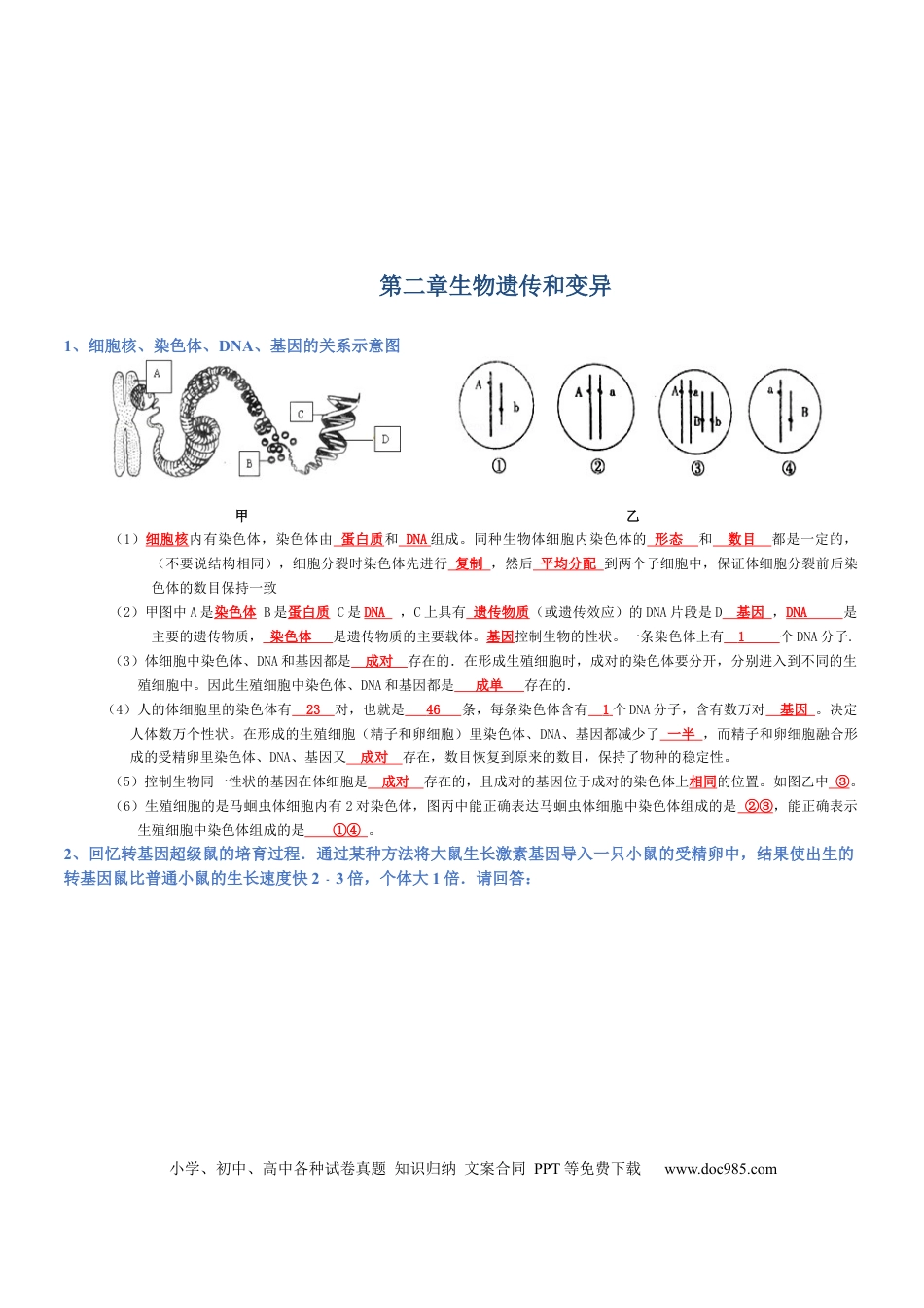 专题07 生物圈中生命的延续和发展（背诵版）.docx