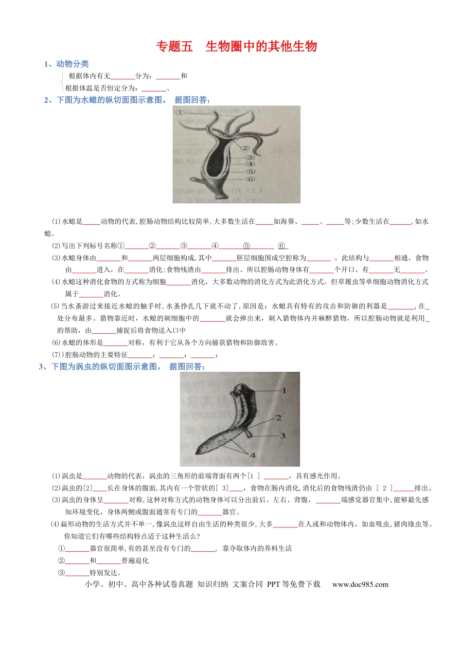专题05 生物圈中的其他生物（填空版）.docx