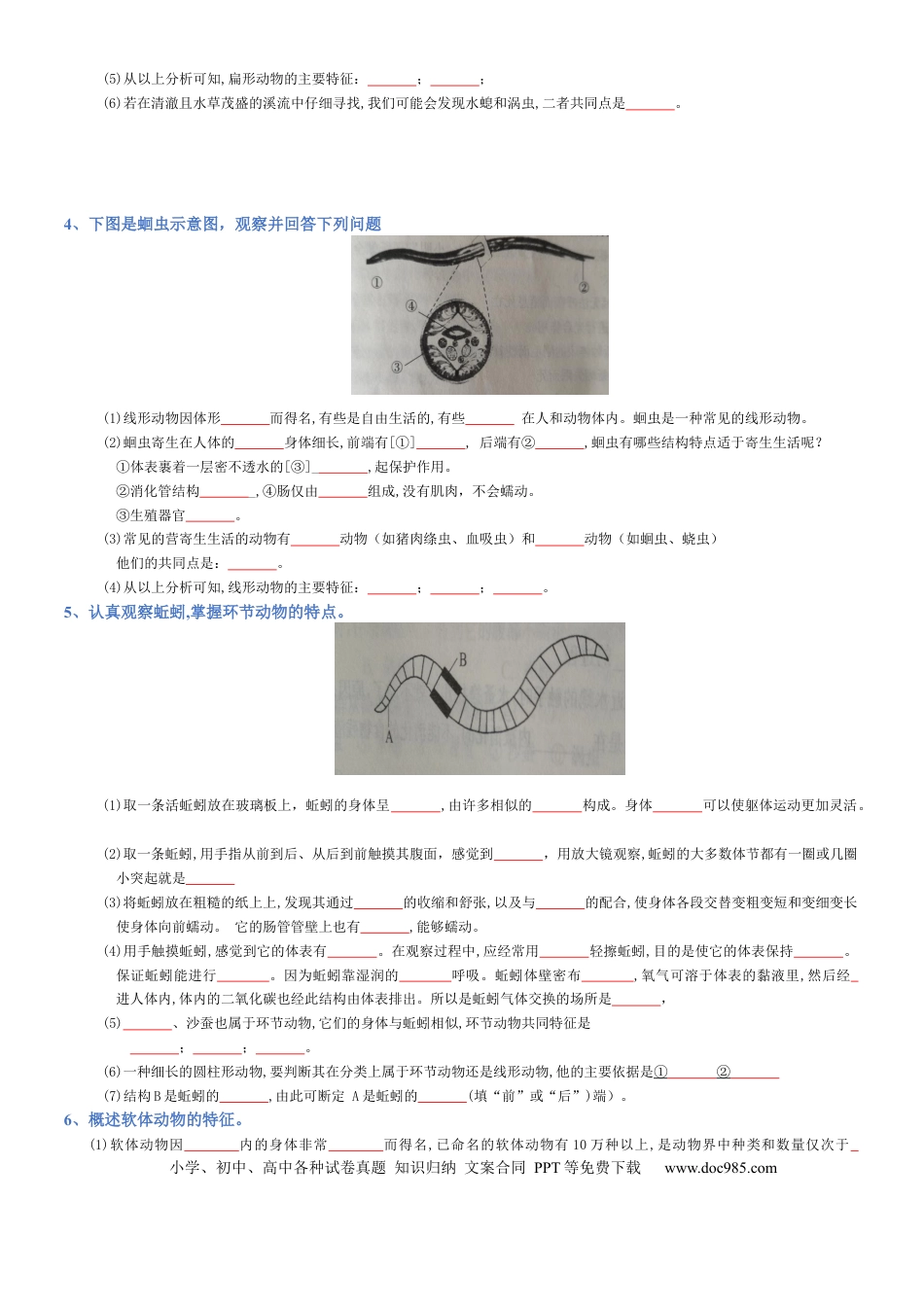 专题05 生物圈中的其他生物（填空版）.docx