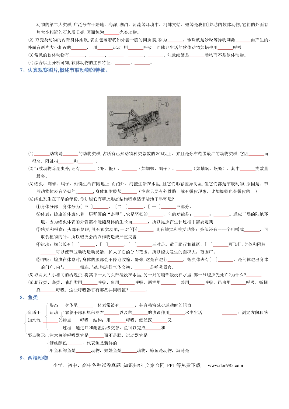 专题05 生物圈中的其他生物（填空版）.docx