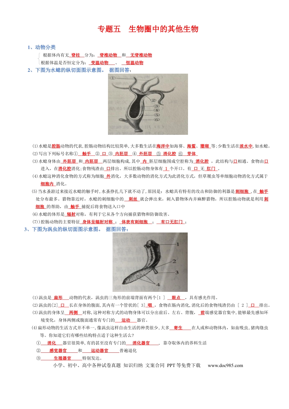 专题05 生物圈中的其他生物（背诵版）.docx