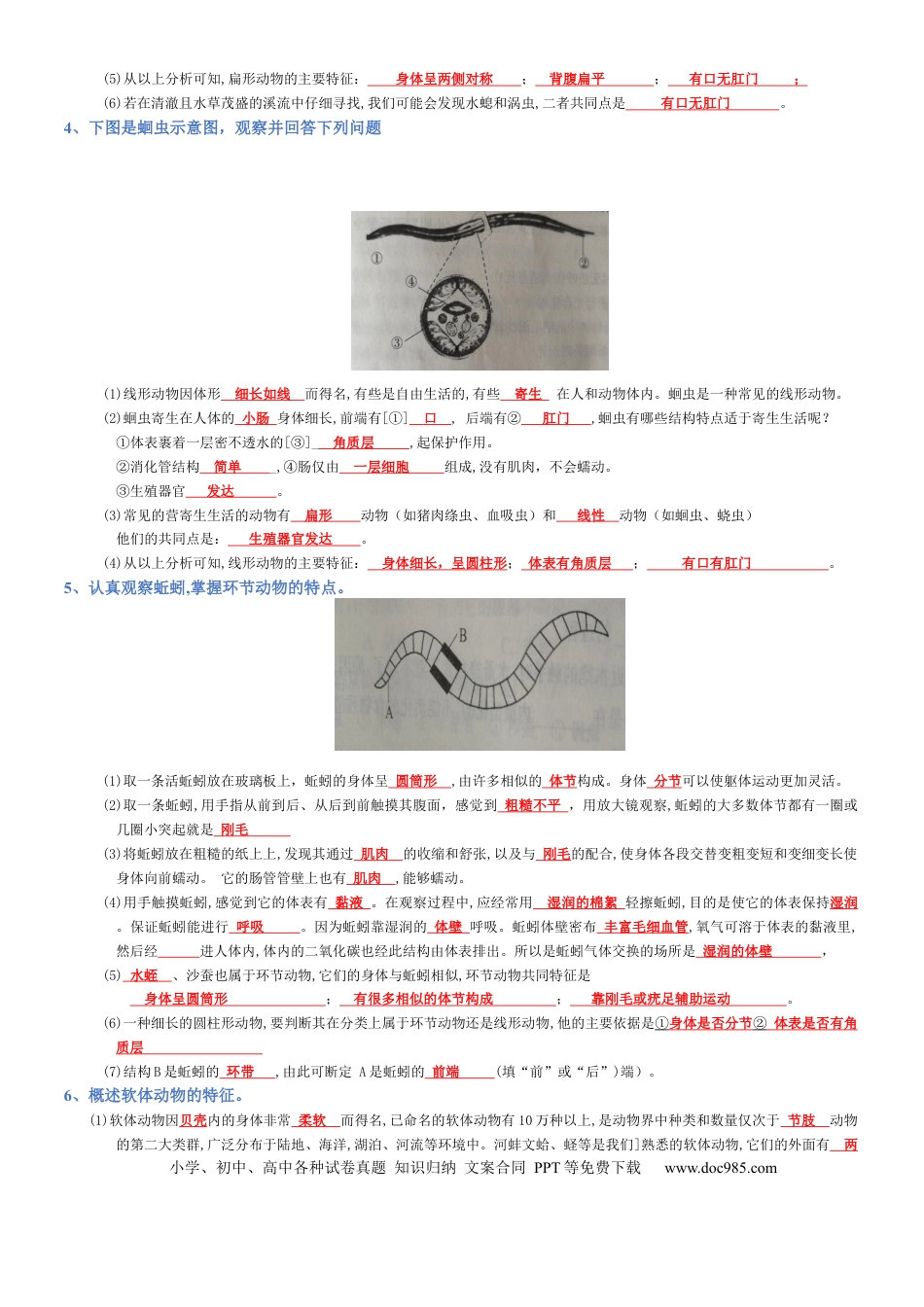 专题05 生物圈中的其他生物（背诵版）.docx