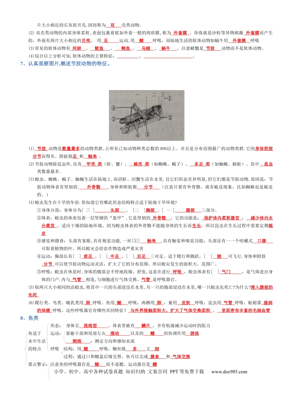 专题05 生物圈中的其他生物（背诵版）.docx