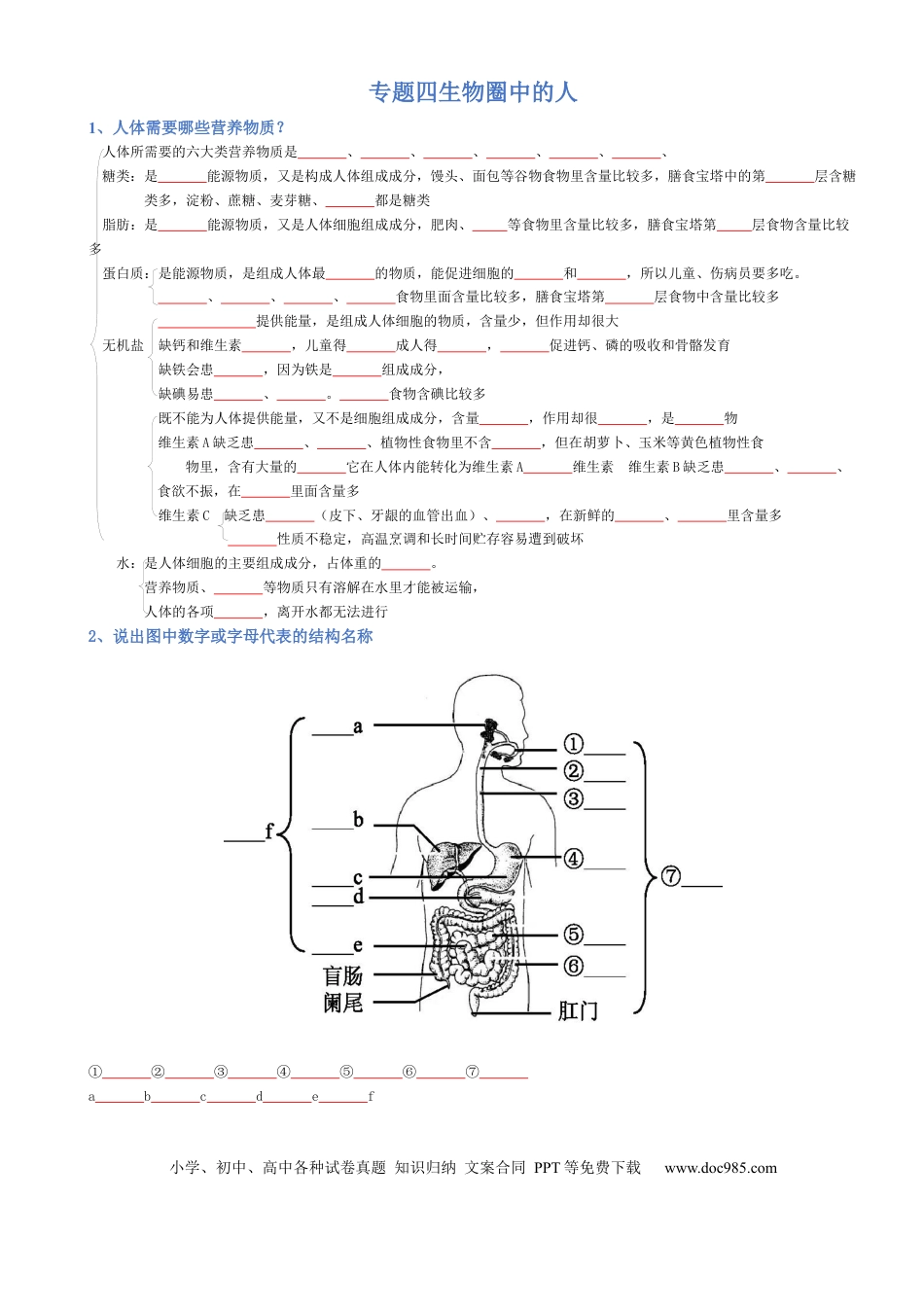 专题04 生物圈中的人（填空版）.docx
