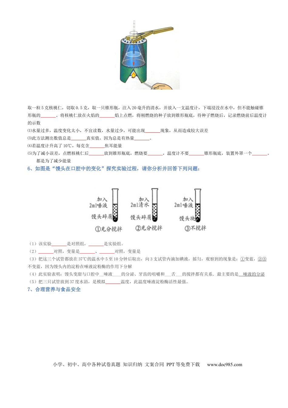 专题04 生物圈中的人（填空版）.docx