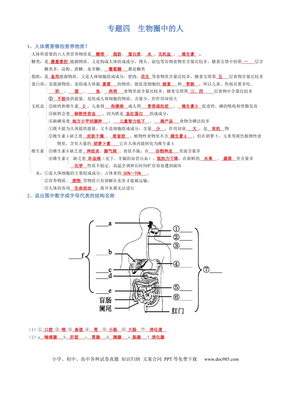 专题04 生物圈中的人（背诵版）.docx