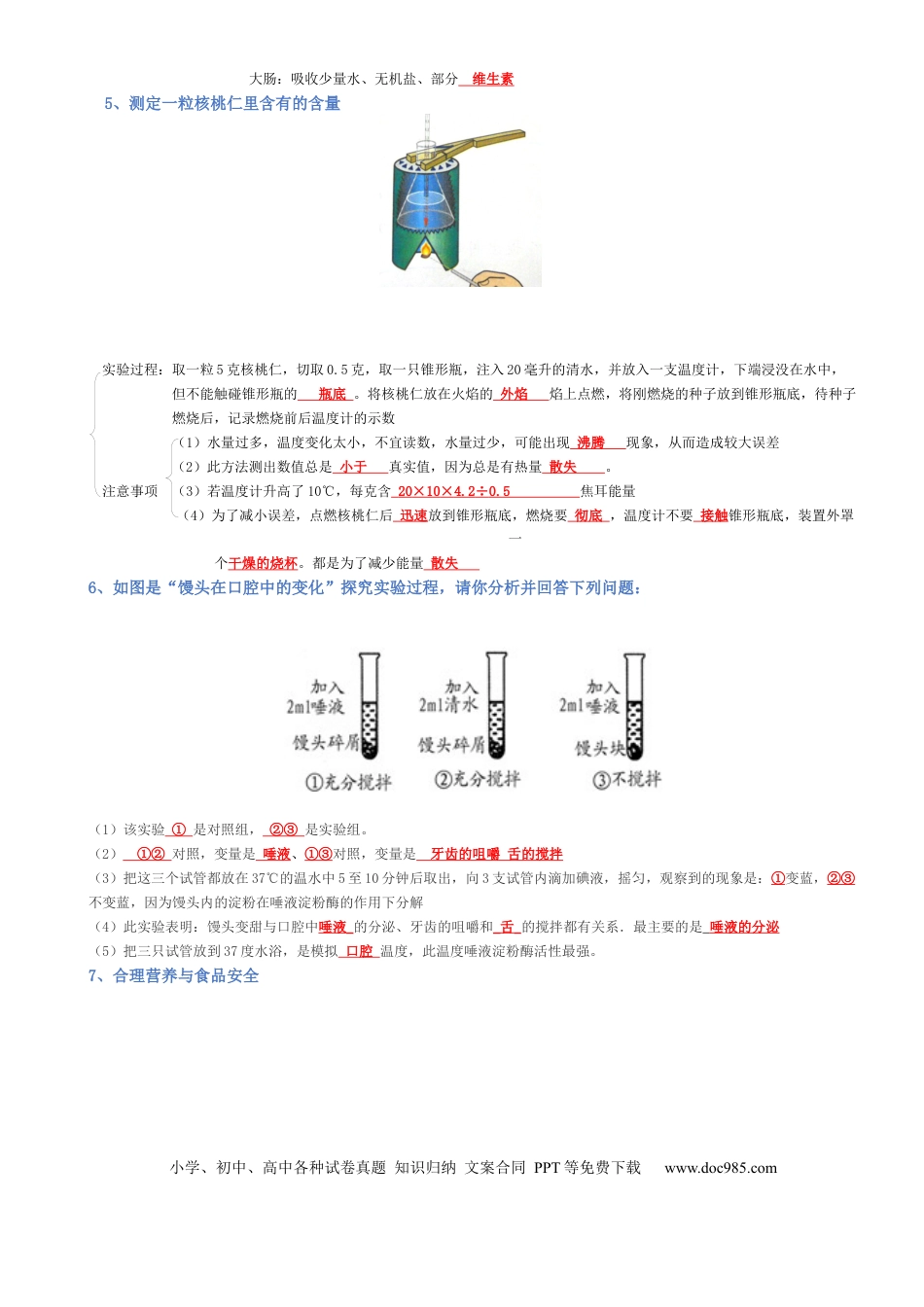 专题04 生物圈中的人（背诵版）.docx