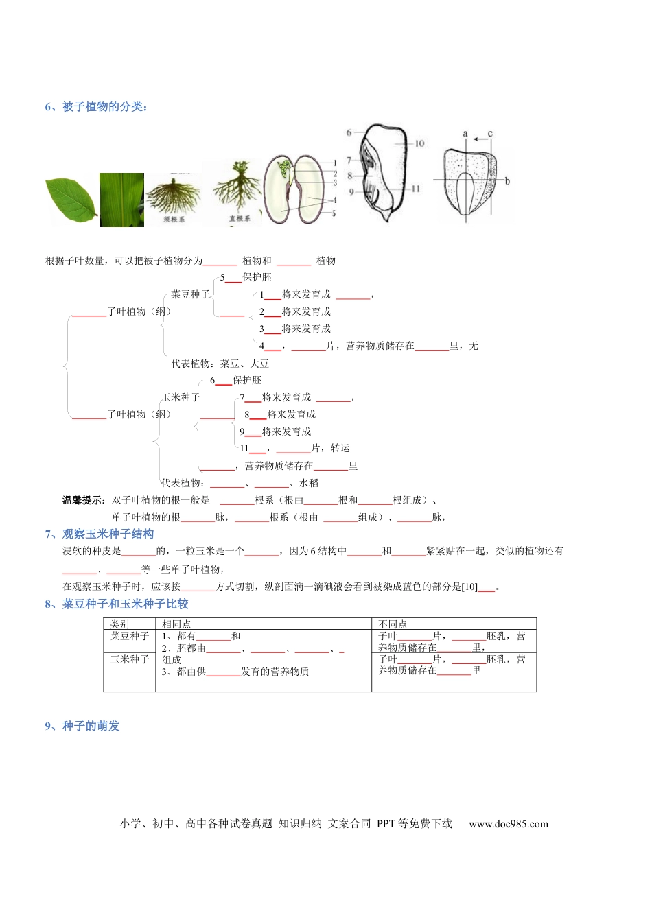 专题03  生物圈中的绿色植物(填空版).docx