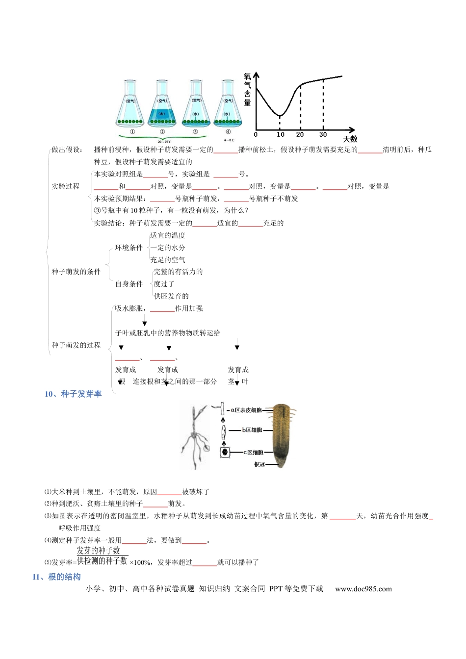 专题03  生物圈中的绿色植物(填空版).docx
