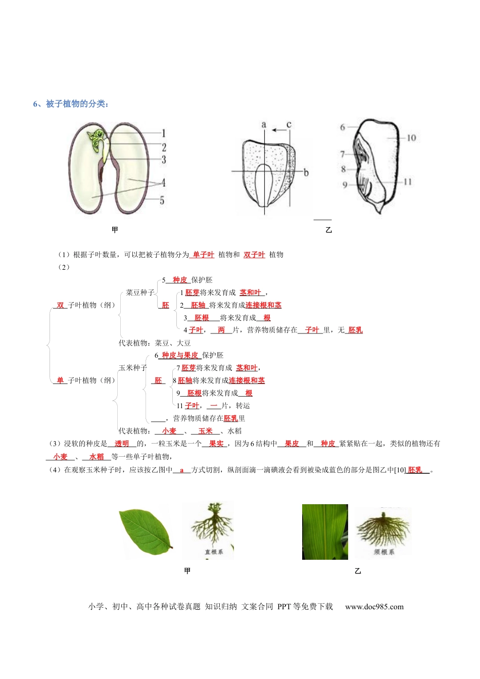 专题03  生物圈中的绿色植物(背诵版).docx