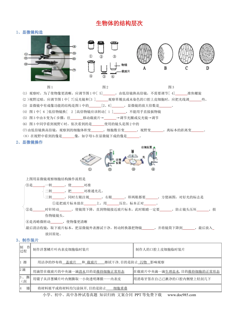 专题02 生物体的结构层次（填空版）.docx